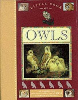 Hardcover Little Book of Owls (Little Books Series) Book