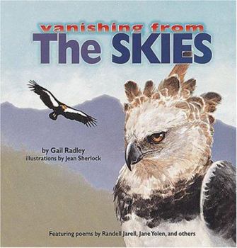Hardcover The Skies Book