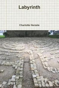 Paperback Labyrinth Book