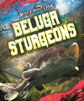 Beluga Sturgeons