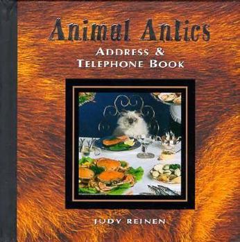 Hardcover Cat Large Address and Telephone Book (Animal Antics) Book