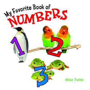 Board book My Favorite Book of Numbers Book