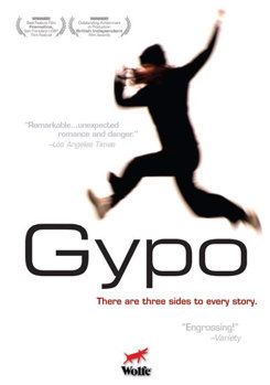 DVD Gypo Book