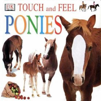 Touch and Feel: Ponies - Book  of the DK Touch and Feel