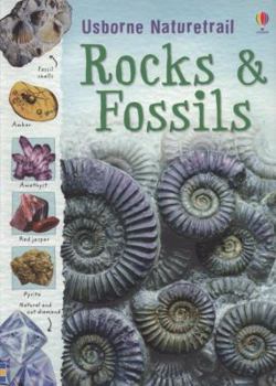 Paperback Rocks & Fossils. Struan Reid Book