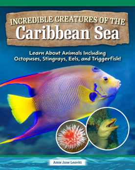 Life in the Caribbean Sea: Remarkable Creatures of the Water Planet
