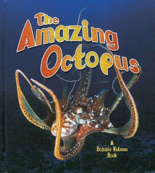 Paperback The Amazing Octopus Book
