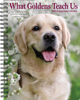 Calendar What Goldens Teach Us 2023 Engagement Calendar Book
