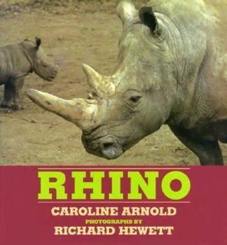 Hardcover Rhino Book
