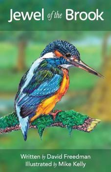 Paperback Jewel of the Brook: The Kingfisher's Tale Book