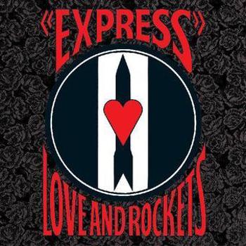 Vinyl Express Book