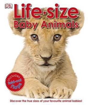 Hardcover Life-Size Baby Animals. Book