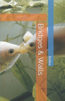 Paperback Bridges & Walls Book