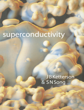 Paperback Superconductivity Book