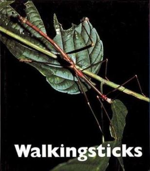 Library Binding Walkingsticks Book