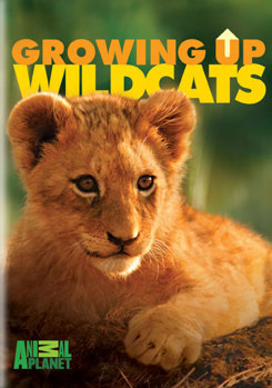 DVD Growing Up Wildcats Book