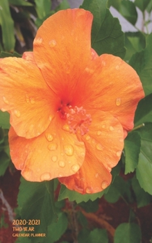 Paperback Two-Year Pocket Calendar Planner: Pocket Agenda Purse Size With Notes - 2 Year Organizer Orange Hibiscus Book