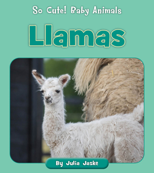 Paperback Llamas Book