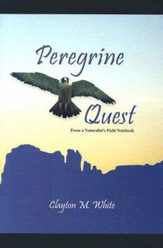 Peregrine Quest: From a Naturalist's Field Notebook