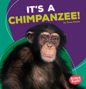 It's a Chimpanzee! - Book  of the Animales de la Selva Tropical