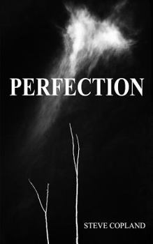 Paperback Perfection Book