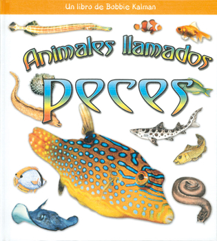 Hardcover Animales Llamados Peces (Animals Called Fish) [Spanish] Book