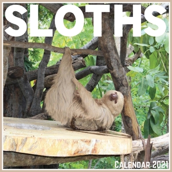 Paperback Sloths Calendar 2021: Official Sloths Calendar 2021, 12 Months Book