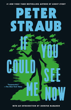 Paperback If You Could See Me Now Book