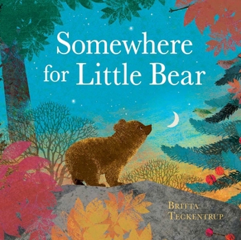 Hardcover Somewhere for Little Bear Book