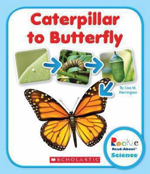 Caterpillar to Butterfly - Book  of the Rookie Read-About Science