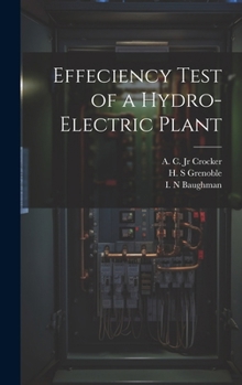 Hardcover Effeciency Test of a Hydro-electric Plant Book