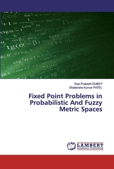 Paperback Fixed Point Problems in Probabilistic And Fuzzy Metric Spaces Book