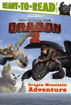 Library Binding Dragon Mountain Adventure Book