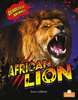 Paperback African Lion Book