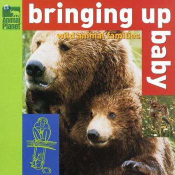 Paperback Bringing Up Baby: Wild Animal Families Book