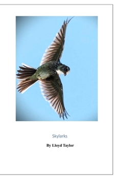 Skylarks (Where But In The Northwest Territories)