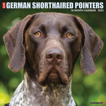 Calendar Just German Shorthaired Pointers 2022 Wall Calendar (Dog Breed) Book