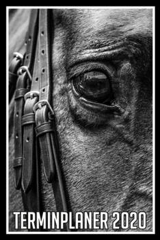 Terminplaner 2020: Jahresplaner von September 2019 bis Dezember 2020 mit Pferd - Planer mit 174 Seiten in wei� im Format A5 mit gl�nzendem Soft Cover.