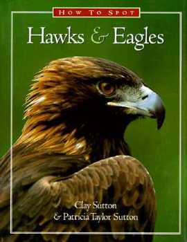 Hardcover How to Spot Hawks and Eagles Book