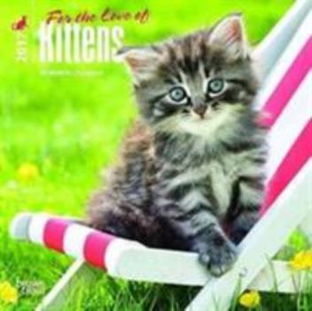 Kittens, For the Love of 2017 Mini 7x7 (Multilingual Edition)