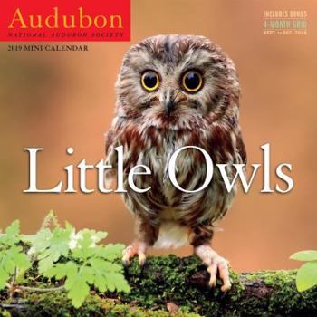 Calendar Audubon Little Owls Mini Wall Calendar 2019 Book