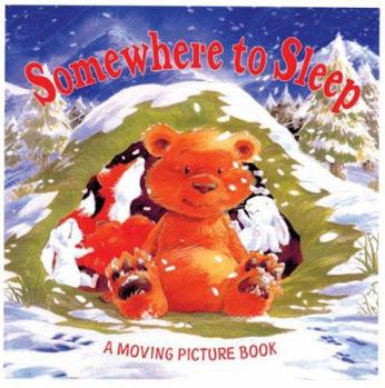 Hardcover Somewhere to Sleep Book