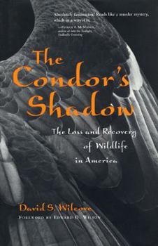 Hardcover Condor's Shadow Book