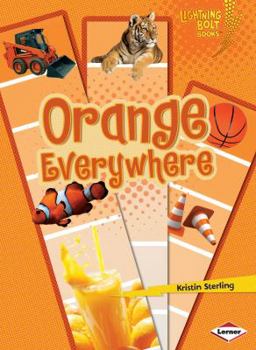 Paperback Orange Everywhere Book