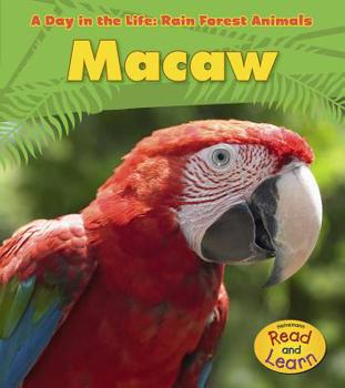 Paperback Macaw Book