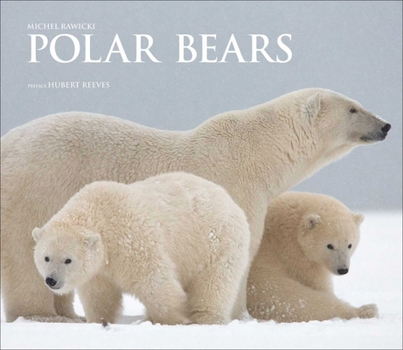 Hardcover Polar Bears: A Life Under Threat Book