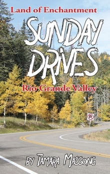 Paperback Sunday Drives: Rio Grande Valley Book