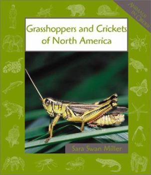 Library Binding Grasshoppers and Crickets of North America Book