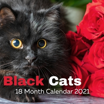 Black Cats 18 month calendar 2021: Black Cats Calendar 2021, 18 Month calendar, 8.5 x 8.5 inches
