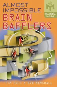 Paperback Almost Impossible Brain Bafflers Book